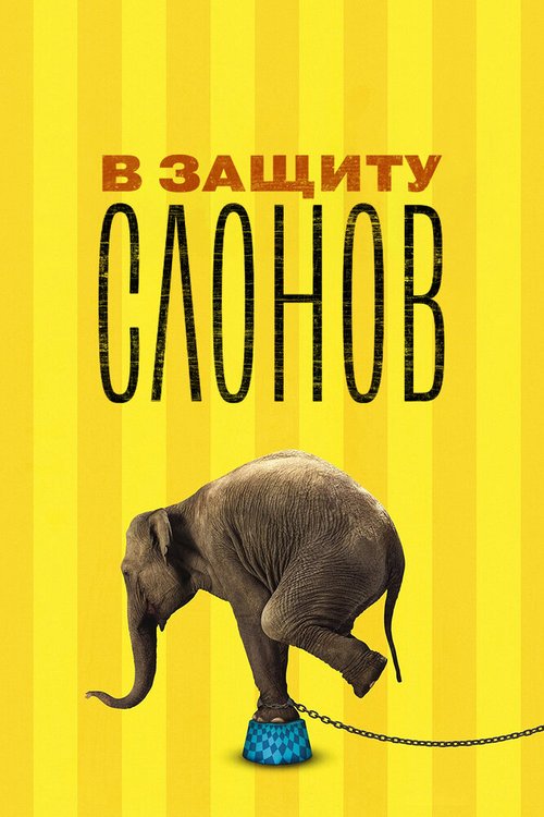 Ключ от прачечной (2013)