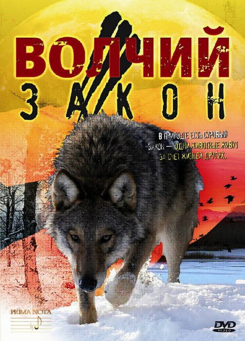 Следы работорговли: История, произошедшая в самом сердце Севера (2008)