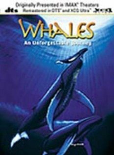 Постер фильма Whales: An Unforgettable Journey (1997)