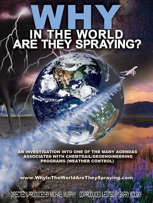 Постер фильма WHY in the World Are They Spraying? (2012)