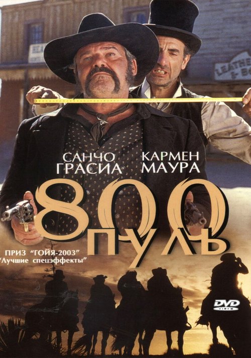 Постер фильма 800 пуль (2002)