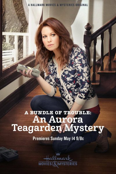 Постер фильма A Bundle of Trouble: An Aurora Teagarden Mystery (2017)