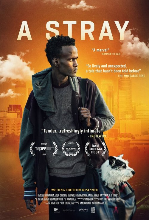 Постер фильма A Stray (2016)