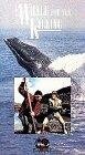 Постер фильма A Whale for the Killing (1981)