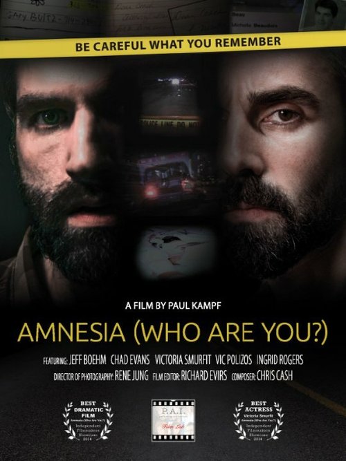 Постер фильма Amnesia: Who Are You? (2014)