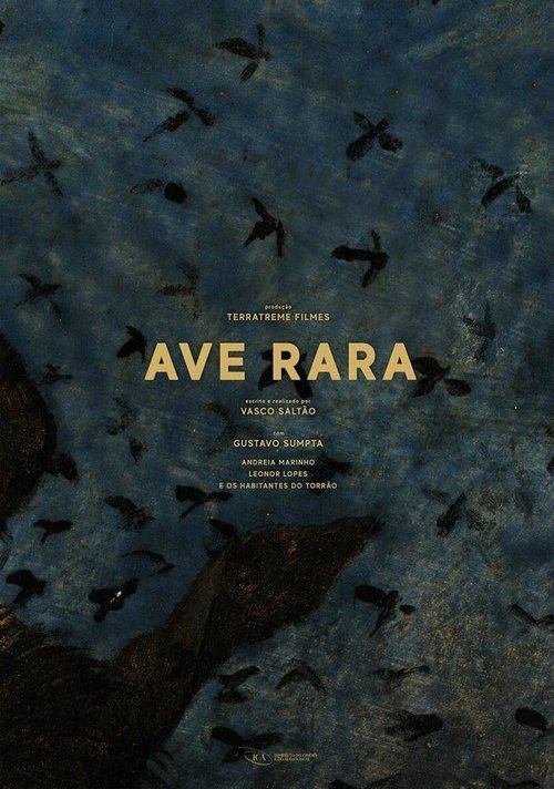 Постер фильма Ave Rara (2019)