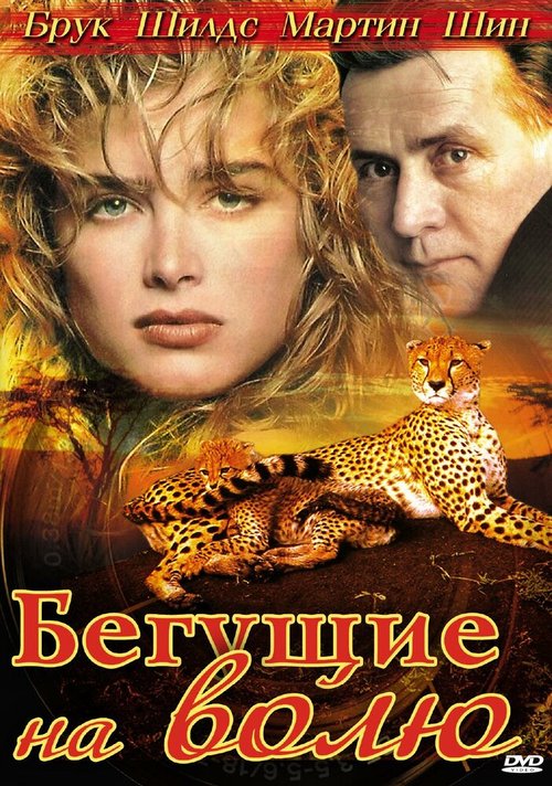 Симон Бокканегра (1995)