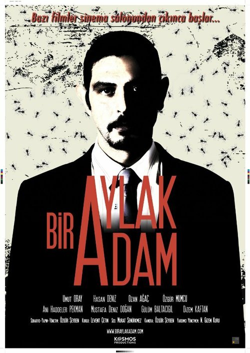 Постер фильма Bir Aylak Adam (2013)