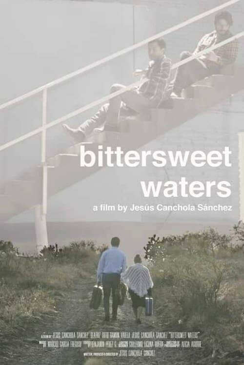 Постер фильма Bittersweet Waters (2019)