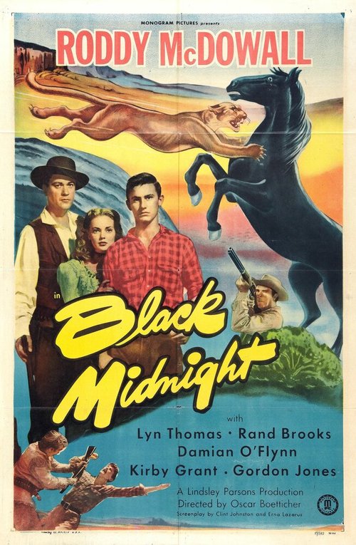 Постер фильма Black Midnight (1949)