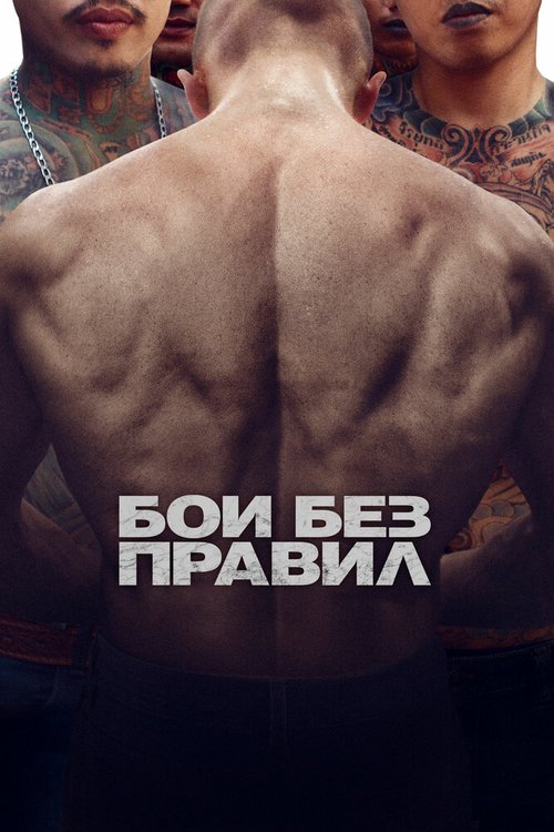 Постер фильма Бои без правил (2017)