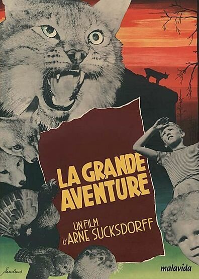 Постер фильма Большое приключение (1953)