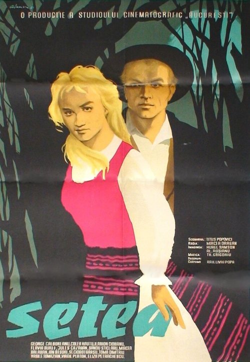 Постер фильма Бурные годы (1960)