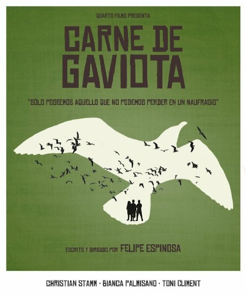 Постер фильма Carne de gaviota (2015)