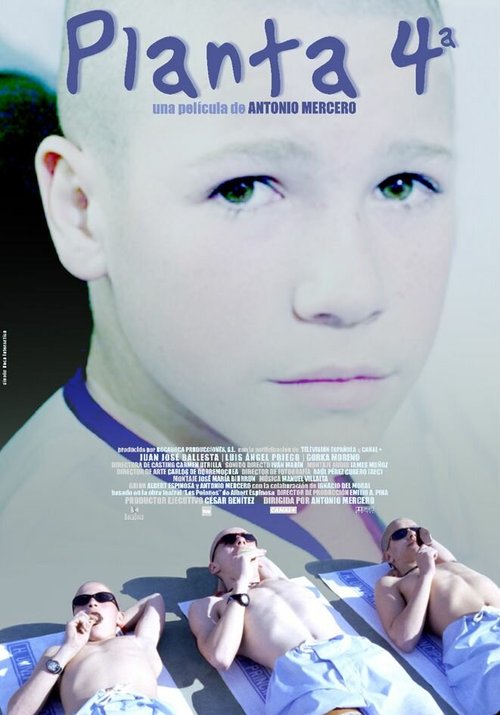 Лето в золотой долине (2003)