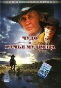 Постер фильма Чудо в Ручье мудреца (2005)