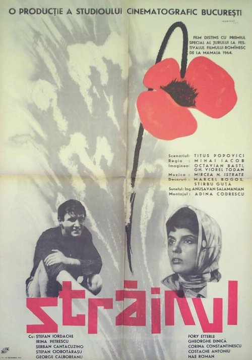 Suçlular aramizda (1964)