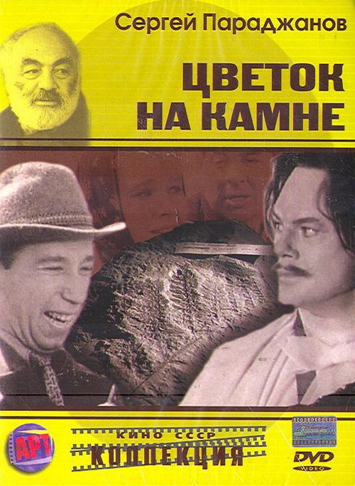 Постер фильма Цветок на камне (1962)