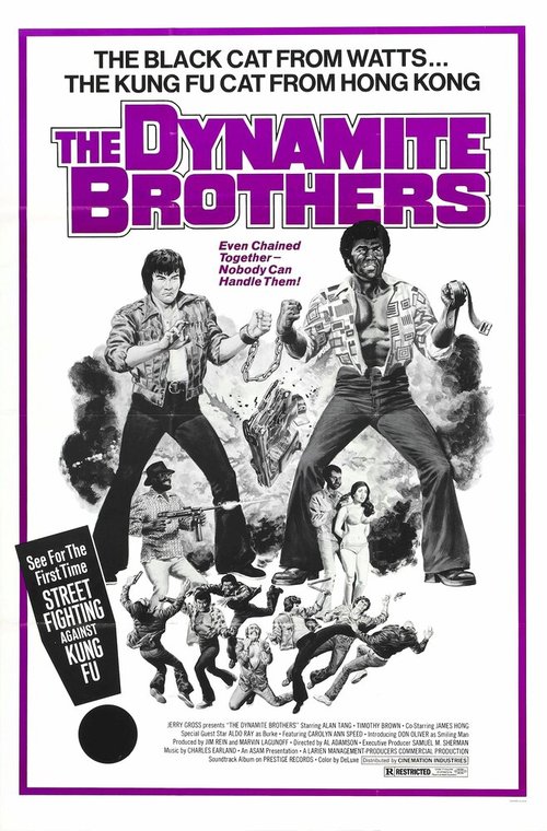 Постер фильма Dynamite Brothers (1974)