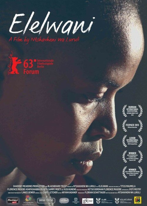 Постер фильма Элелвани (2012)