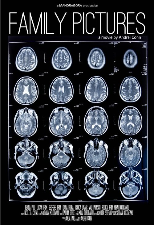 Постер фильма Family Pictures (2012)