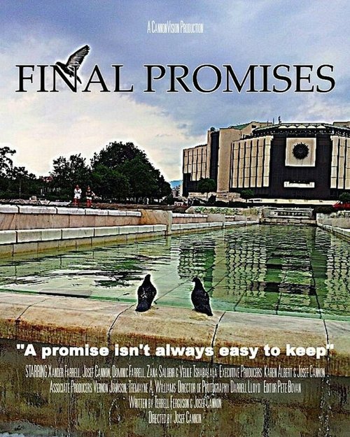 Постер фильма Final Promises (2013)