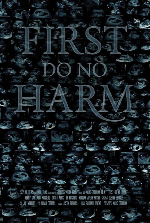 Постер фильма First, Do No Harm (2014)