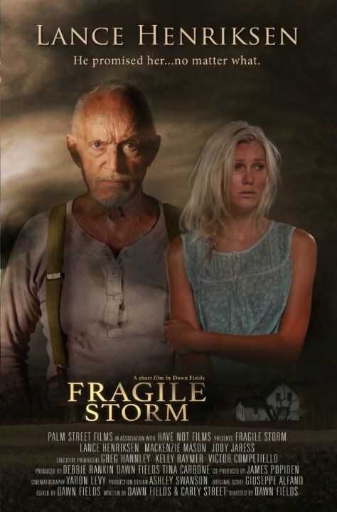 Постер фильма Fragile Storm (2015)