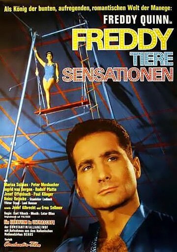 Постер фильма Freddy, Tiere, Sensationen (1964)