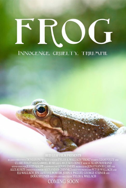 Постер фильма Frog (2015)