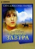 Постер фильма Где-нибудь завтра (1983)