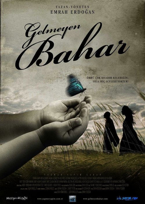 Постер фильма Gelmeyen Bahar (2013)