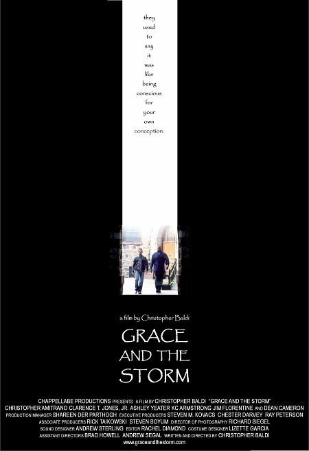 Постер фильма Grace and the Storm (2004)