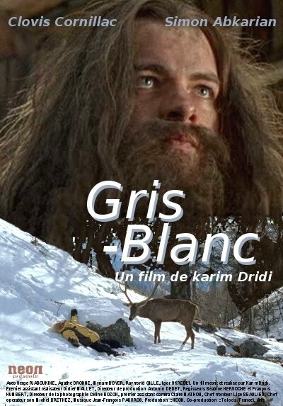 Постер фильма Gris blanc (2005)