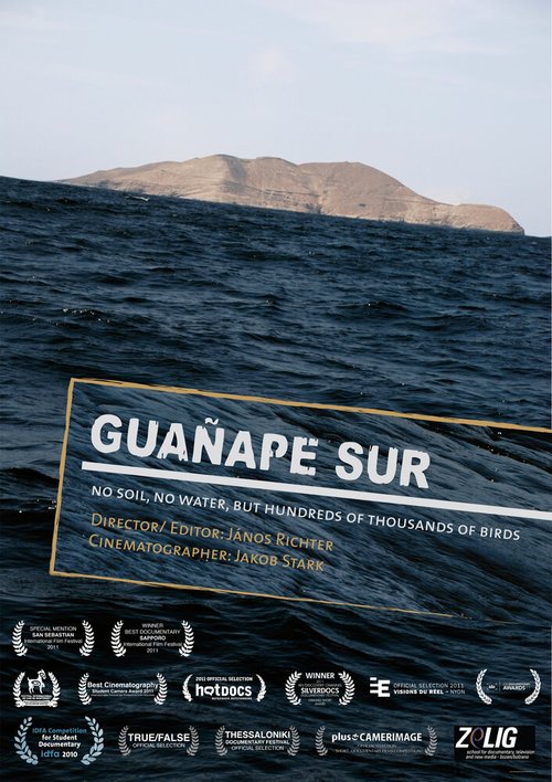 Постер фильма Гуанапе Сур (2010)