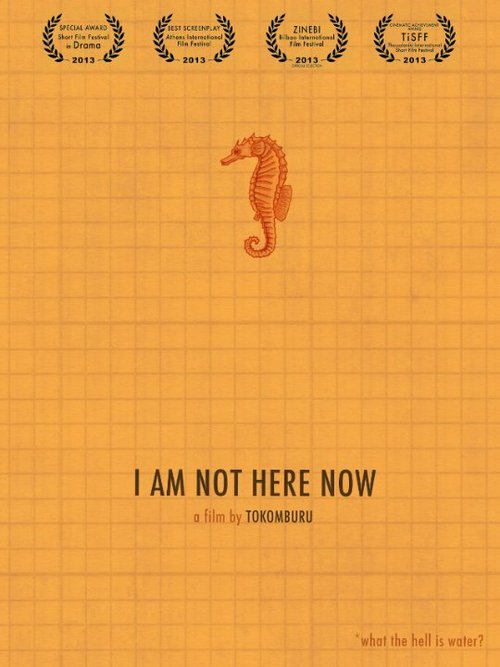 Постер фильма I Am Not Here Now (2013)