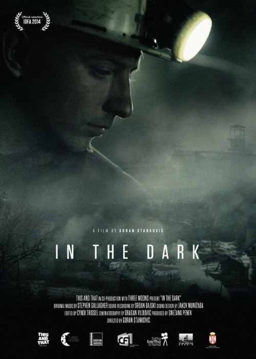 Постер фильма In the Dark (2014)