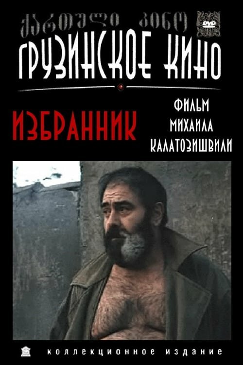 Огненное кольцо (1991)