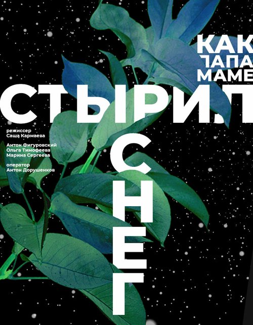 Постер фильма Как папа маме стырил снег (2020)