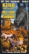 Постер фильма King of the Stallions (1942)