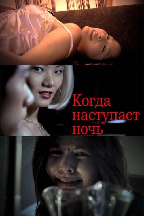 Постер фильма Когда наступает ночь (2009)