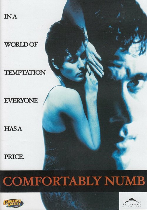 Постер фильма Комфортабельный номер (1995)