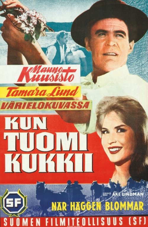 Постер фильма Kun tuomi kukkii (1962)