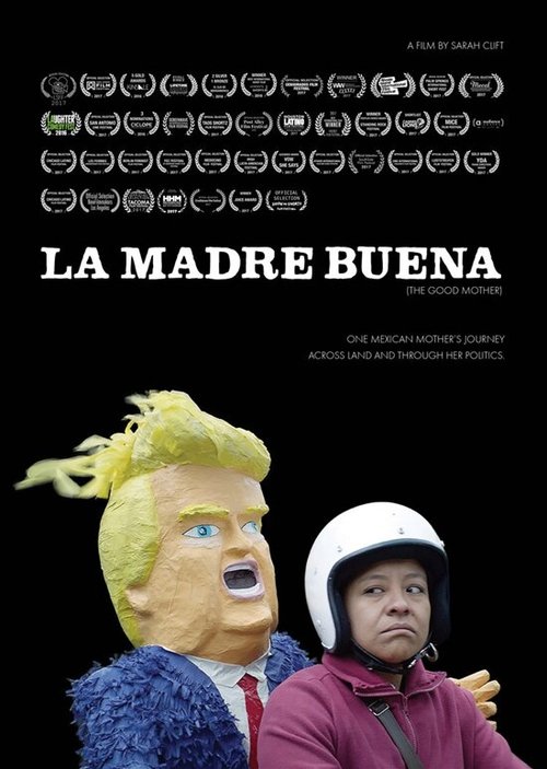 Постер фильма La Madre Buena (The Good Mother) (2017)