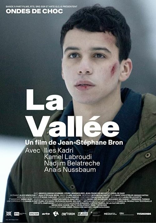 Постер фильма La vallée (2018)