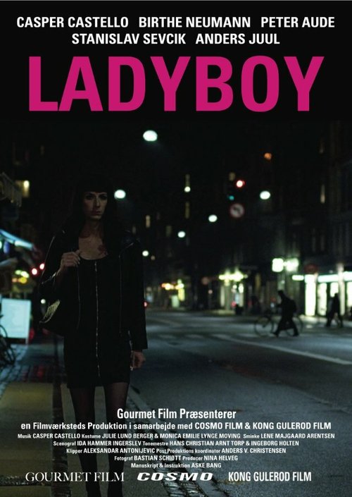 Постер фильма Ladyboy (2011)