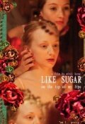 Постер фильма Like Sugar on the Tip of My Lips (2010)