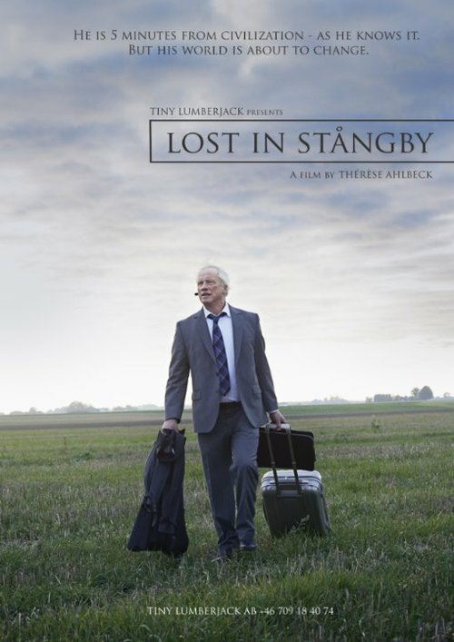 Постер фильма Lost in Stångby (2014)