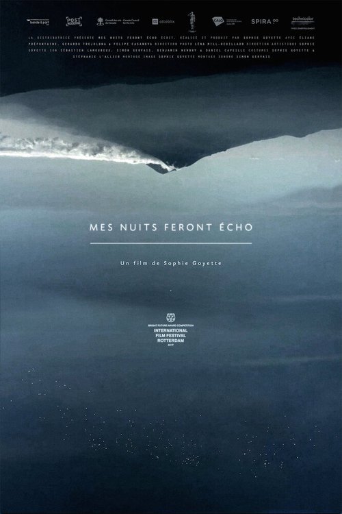 Постер фильма Mes nuits feront écho (2016)