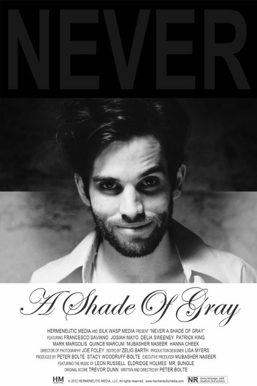 Постер фильма Never a Shade of Gray (2012)